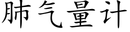 肺气量计 (楷体矢量字库)