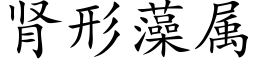 腎形藻屬 (楷體矢量字庫)