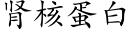 肾核蛋白 (楷体矢量字库)