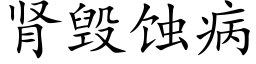 肾毁蚀病 (楷体矢量字库)