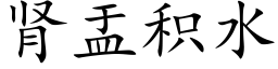 腎盂積水 (楷體矢量字庫)