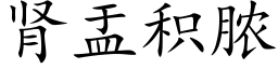 腎盂積膿 (楷體矢量字庫)