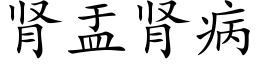 肾盂肾病 (楷体矢量字库)