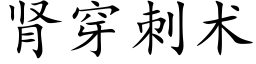 腎穿刺術 (楷體矢量字庫)