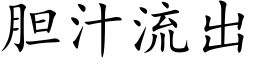 胆汁流出 (楷体矢量字库)