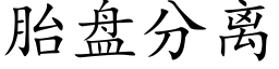 胎盘分离 (楷体矢量字库)