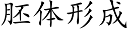 胚体形成 (楷体矢量字库)