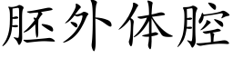 胚外体腔 (楷体矢量字库)