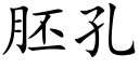 胚孔 (楷体矢量字库)