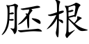 胚根 (楷体矢量字库)