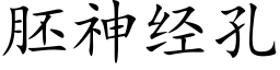 胚神经孔 (楷体矢量字库)