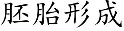 胚胎形成 (楷体矢量字库)