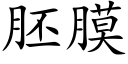 胚膜 (楷体矢量字库)