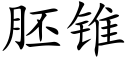 胚锥 (楷体矢量字库)