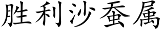 胜利沙蚕属 (楷体矢量字库)