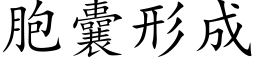 胞囊形成 (楷体矢量字库)