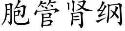 胞管肾纲 (楷体矢量字库)