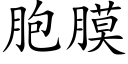 胞膜 (楷体矢量字库)