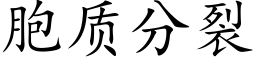 胞质分裂 (楷体矢量字库)