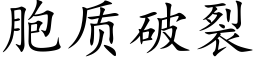 胞质破裂 (楷体矢量字库)