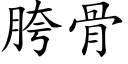 胯骨 (楷體矢量字庫)