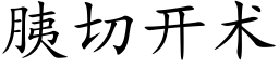 胰切開術 (楷體矢量字庫)