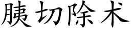 胰切除術 (楷體矢量字庫)