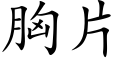 胸片 (楷体矢量字库)