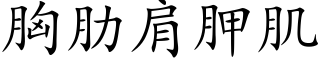 胸肋肩胛肌 (楷體矢量字庫)