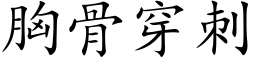 胸骨穿刺 (楷体矢量字库)