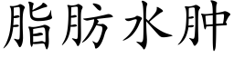 脂肪水肿 (楷体矢量字库)