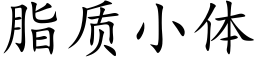 脂质小体 (楷体矢量字库)