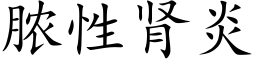 脓性肾炎 (楷体矢量字库)