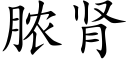 脓肾 (楷体矢量字库)