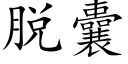 脫囊 (楷體矢量字庫)