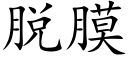 脱膜 (楷体矢量字库)