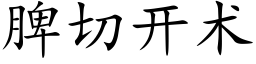 脾切开术 (楷体矢量字库)