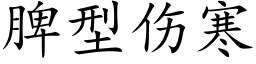 脾型伤寒 (楷体矢量字库)