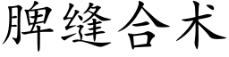 脾縫合術 (楷體矢量字庫)