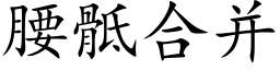 腰骶合并 (楷體矢量字庫)