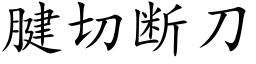 腱切斷刀 (楷體矢量字庫)