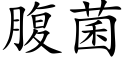 腹菌 (楷體矢量字庫)