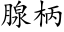 腺柄 (楷体矢量字库)