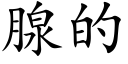 腺的 (楷体矢量字库)