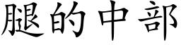 腿的中部 (楷体矢量字库)