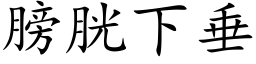 膀胱下垂 (楷体矢量字库)