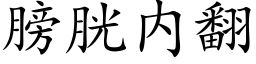 膀胱内翻 (楷体矢量字库)