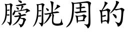 膀胱周的 (楷体矢量字库)