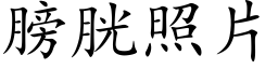 膀胱照片 (楷体矢量字库)