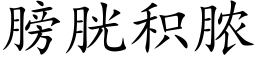 膀胱积脓 (楷体矢量字库)